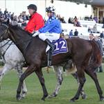 Kentucky Breeze is Back Kentucky Breeze is Back